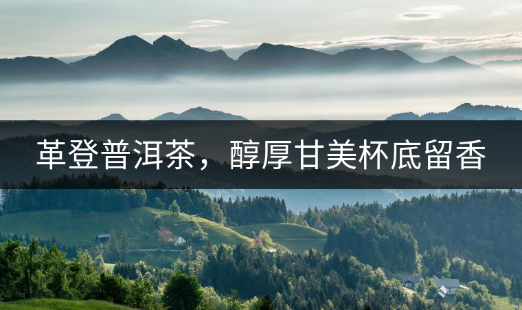 革登普洱茶，醇厚甘美杯底留香