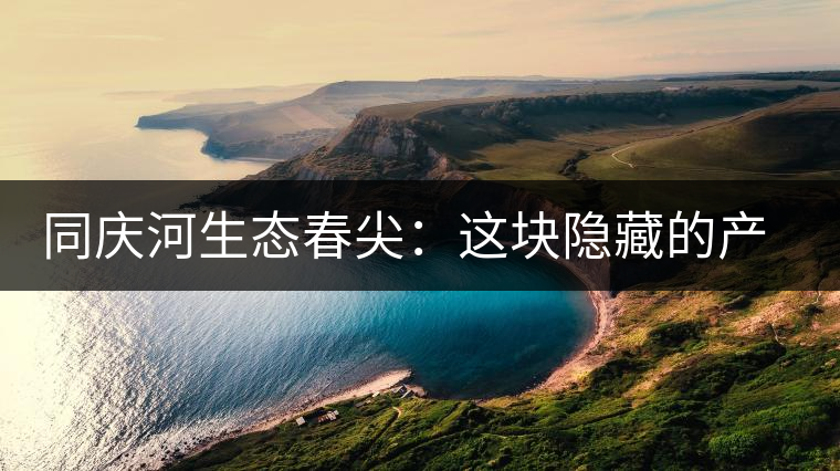 同慶河生態(tài)春尖：這塊隱藏的產(chǎn)茶圣地，你知道嗎？