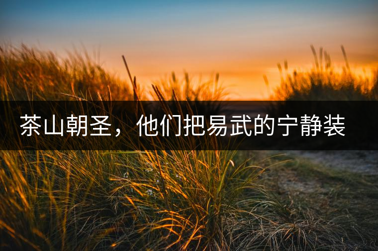 茶山朝圣，他們把易武的寧?kù)o裝進(jìn)心里，卻把成堆垃圾留在