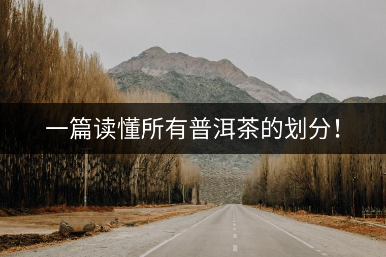 一篇讀懂所有普洱茶的劃分！