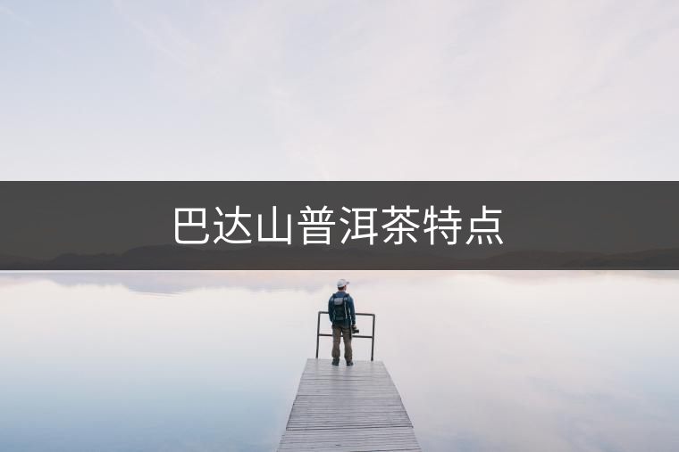 巴達(dá)山普洱茶特點