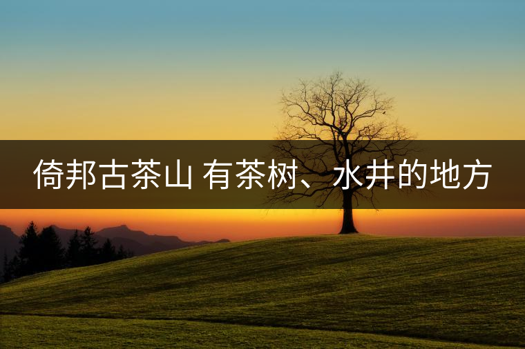 倚邦古茶山 有茶樹、水井的地方