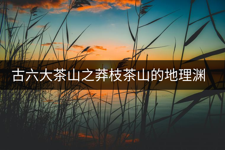 古六大茶山之莽枝茶山的地理淵源
