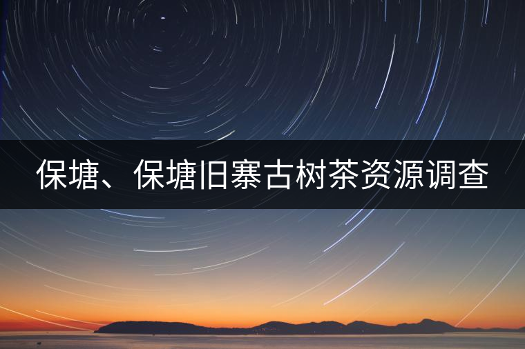 保塘、保塘舊寨古樹(shù)茶資源調(diào)查