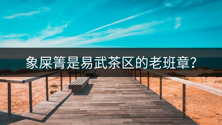 象屎箐是易武茶區(qū)的老班章？