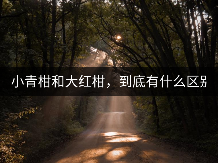 小青柑和大紅柑，到底有什么區(qū)別？