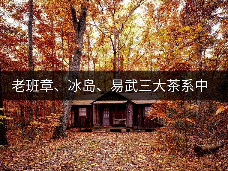 老班章、冰島、易武三大茶系中，“潛力股”為何是易武？