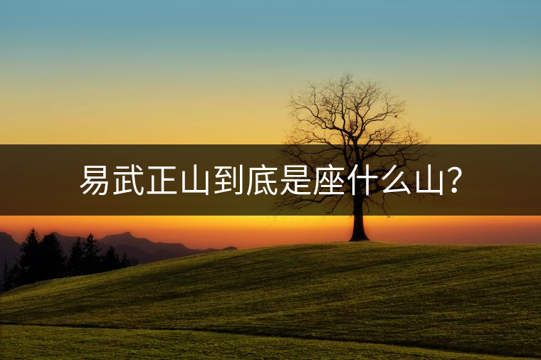 易武正山到底是座什么山？