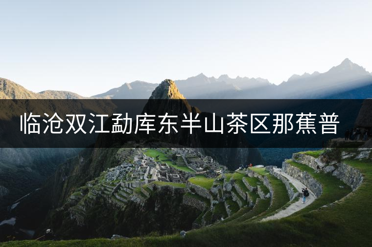 臨滄雙江勐庫東半山茶區(qū)那蕉普洱茶 臨滄雙江勐庫東半山茶區(qū)那蕉普洱茶