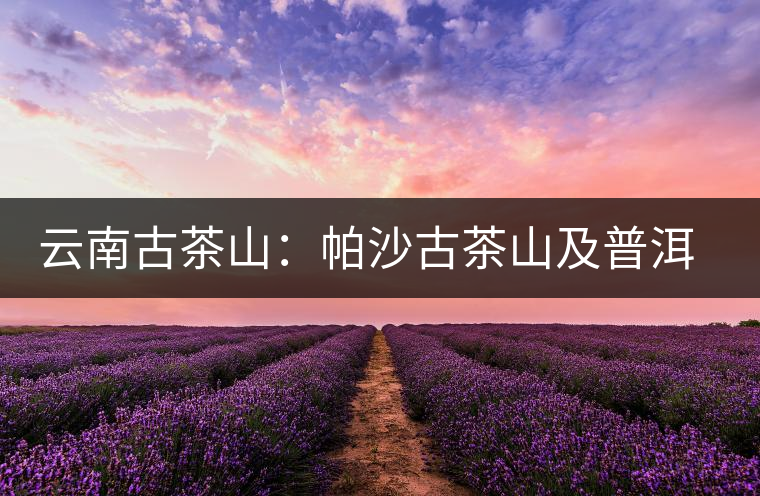 云南古茶山:帕沙古茶山及普洱茶口感特點(diǎn) 云南古茶山:帕沙古茶山及普洱茶口感特點(diǎn)