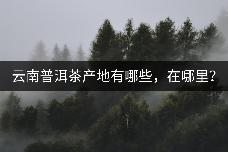 云南普洱茶產(chǎn)地有哪些，在哪里？