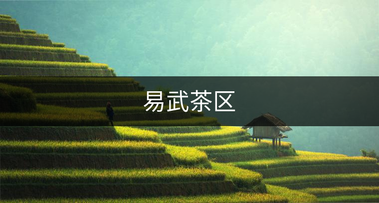 易武茶區(qū) 易武茶區(qū)