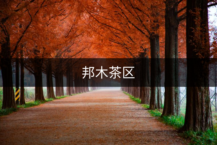 邦木茶區(qū) 邦木茶區(qū)