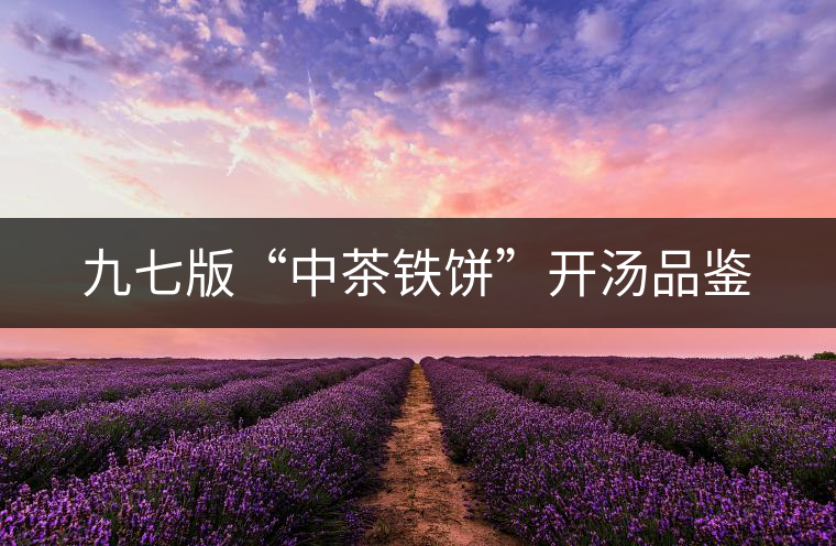 九七版“中茶鐵餅”開(kāi)湯品鑒
