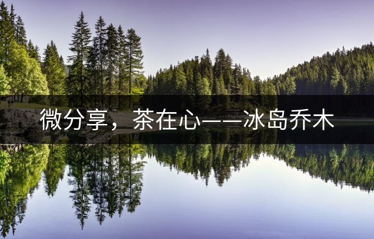 微分享，茶在心——冰島喬木