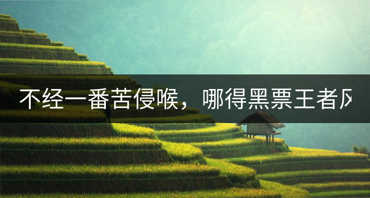 不經(jīng)一番苦侵喉，哪得黑票王者風！