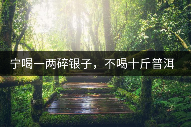 寧喝一兩碎銀子，不喝十斤普洱茶