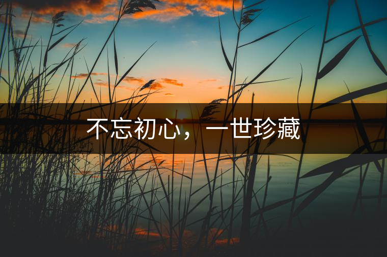 不忘初心，一世珍藏