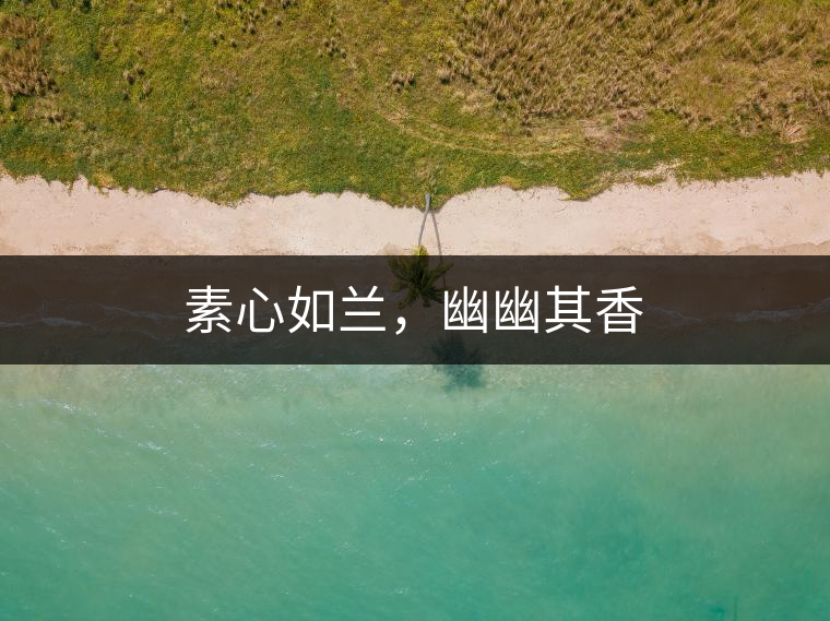 素心如蘭，幽幽其香