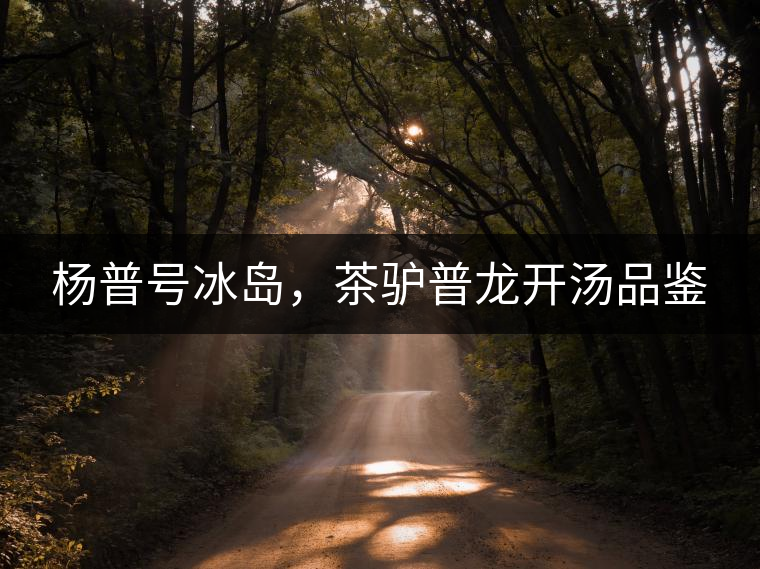 楊普號(hào)冰島，茶驢普龍開湯品鑒