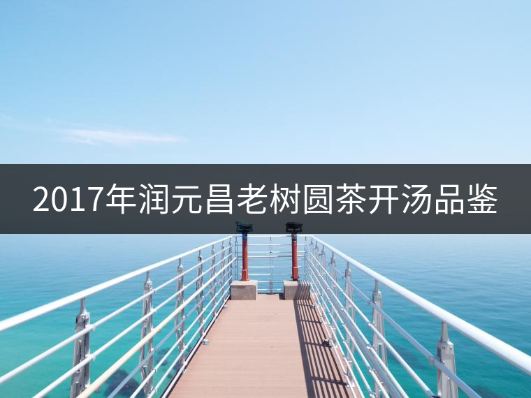 2017年潤(rùn)元昌老樹圓茶開湯品鑒