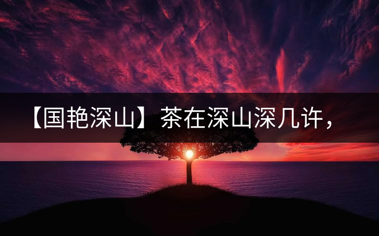 【國(guó)艷深山】茶在深山深幾許，布朗味釅釅幾分！