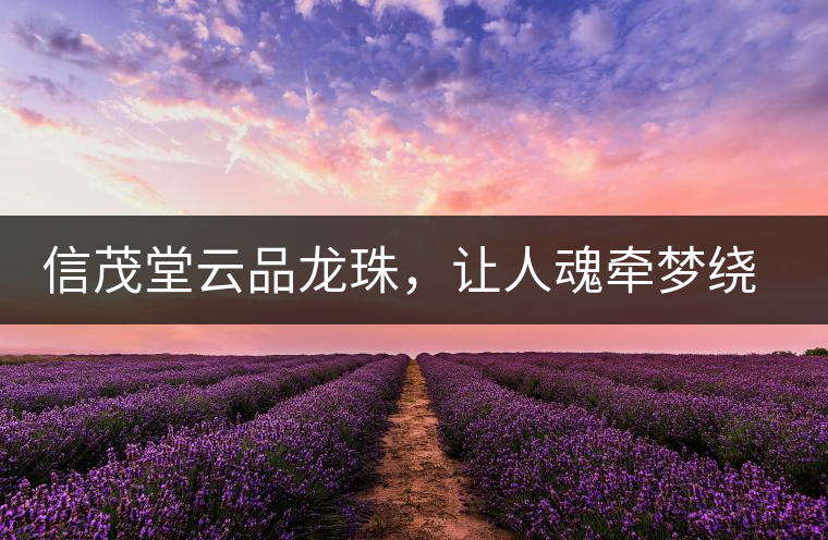 信茂堂云品龍珠，讓人魂?duì)繅?mèng)繞的尤物