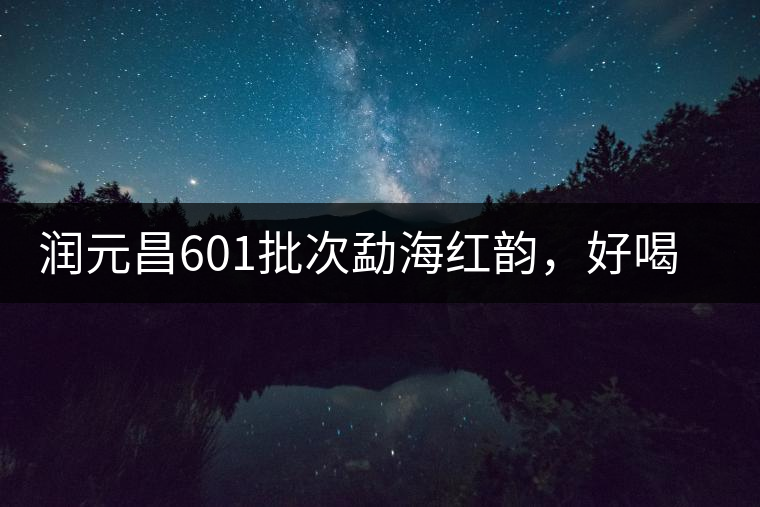潤元昌601批次勐海紅韻，好喝不貴的口糧熟茶