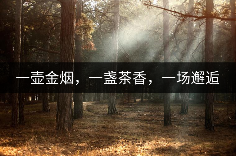 一壺金煙，一盞茶香，一場(chǎng)邂逅