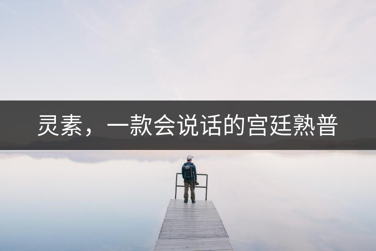 靈素，一款會(huì)說(shuō)話的宮廷熟普