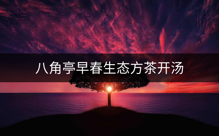 八角亭早春生態(tài)方茶開(kāi)湯