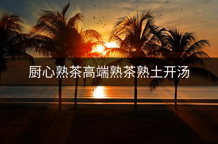 廚心熟茶高端熟茶熟土開(kāi)湯