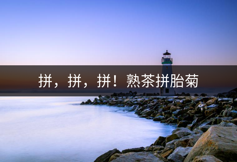 拼，拼，拼！熟茶拼胎菊