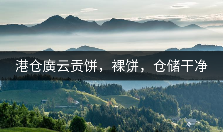 港倉廣云貢餅，裸餅，倉儲(chǔ)干凈