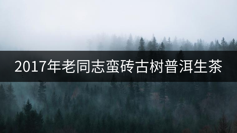 2017年老同志蠻磚古樹普洱生茶 2017年老同志蠻磚古樹普洱生茶