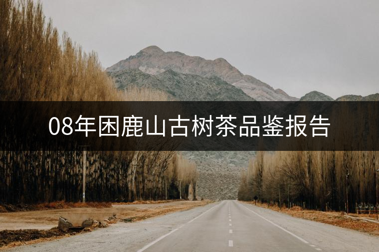 08年困鹿山古樹(shù)茶品鑒報(bào)告 08年困鹿山古樹(shù)茶品鑒報(bào)告