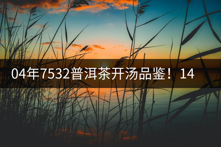 04年7532普洱茶開湯品鑒！14年轉(zhuǎn)化，經(jīng)典雪印配方！