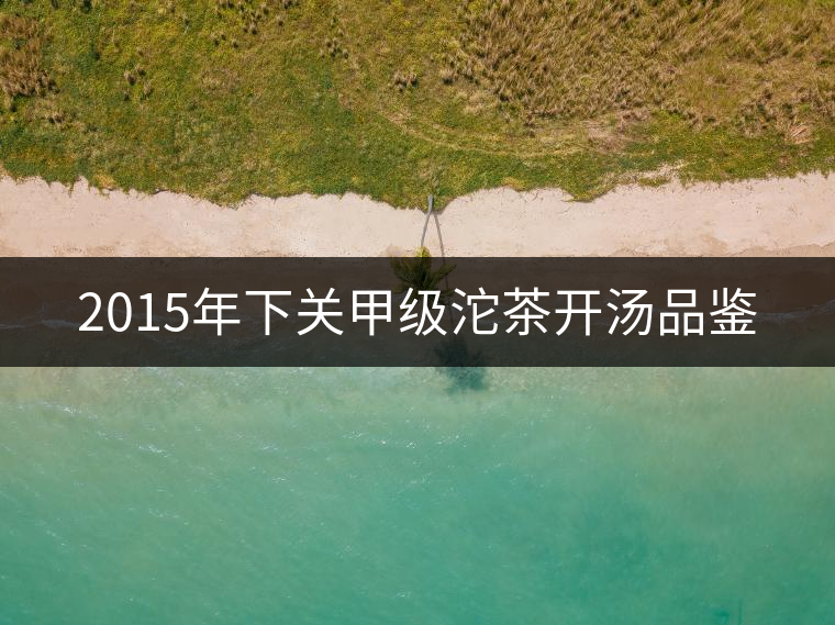 2015年下關(guān)甲級(jí)沱茶開湯品鑒 2015年下關(guān)甲級(jí)沱茶開湯品鑒