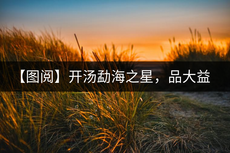 【圖閱】開湯勐海之星，品大益熟茶滋味