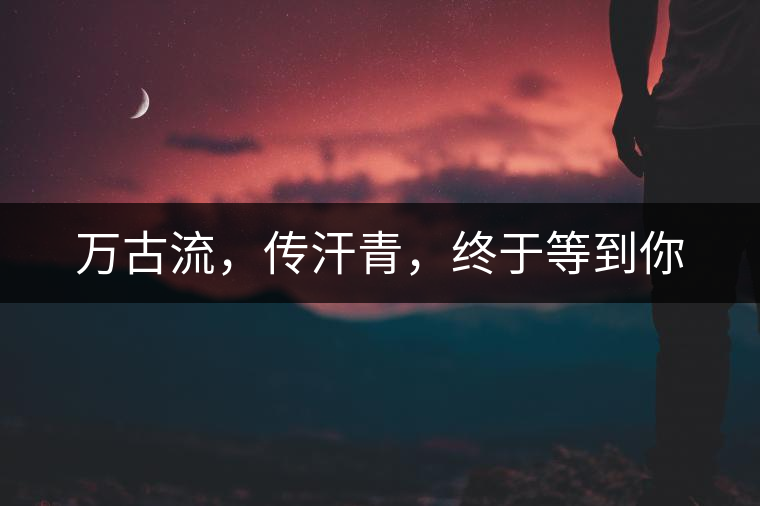萬(wàn)古流，傳汗青，終于等到你