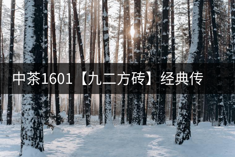 中茶1601【九二方磚】經(jīng)典傳承，巔峰即現(xiàn)