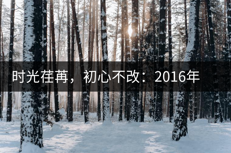 時(shí)光荏苒，初心不改：2016年老同志為天下人做好茶開(kāi)湯