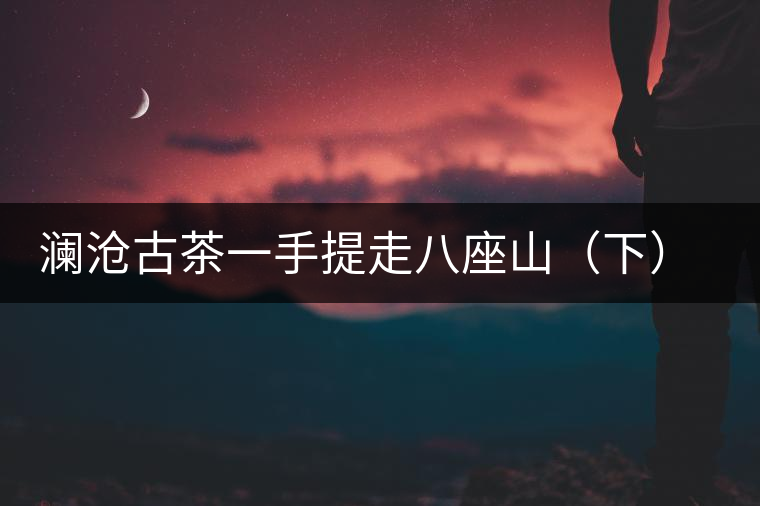 瀾滄古茶一手提走八座山(下)開湯品鑒 瀾滄古茶一手提走八座山(下)開湯品鑒