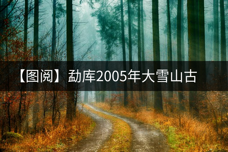 【圖閱】勐庫2005年大雪山古樹茶開湯 【圖閱】勐庫2005年大雪山古樹茶開湯