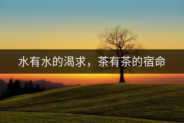 水有水的渴求，茶有茶的宿命