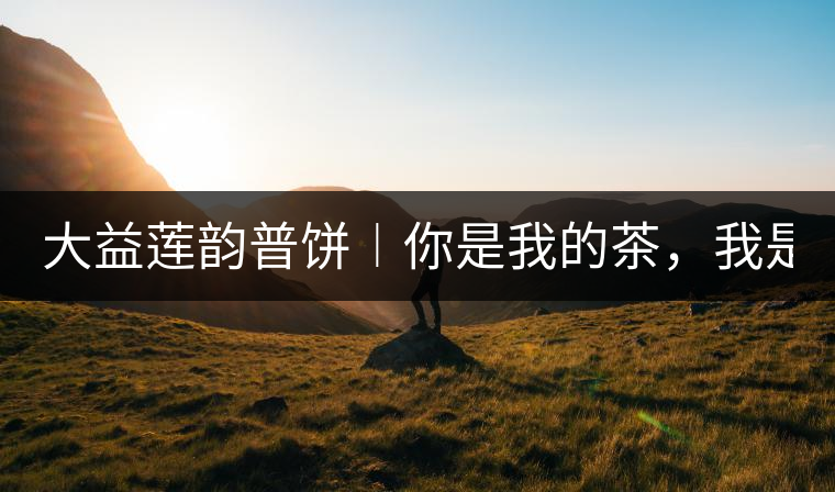 大益蓮韻普餅︱你是我的茶，我是你的人！