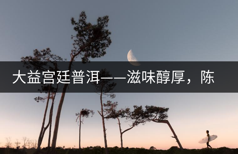 大益宮廷普洱——滋味醇厚，陳香濃郁