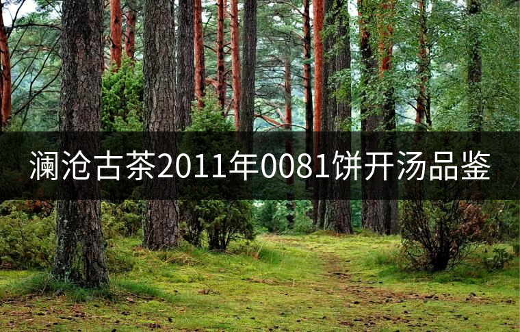 瀾滄古茶2011年0081餅開湯品鑒 瀾滄古茶2011年0081餅開湯品鑒