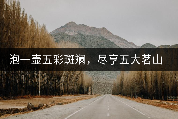 泡一壺五彩斑斕，盡享五大茗山之味