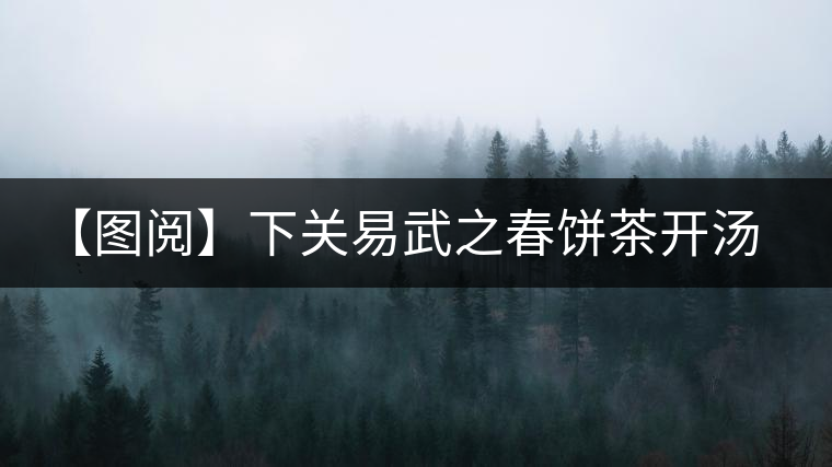 【圖閱】下關(guān)易武之春餅茶開(kāi)湯品鑒